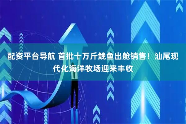 配资平台导航 首批十万斤鮸鱼出舱销售!汕尾现代化海洋牧场迎来丰收